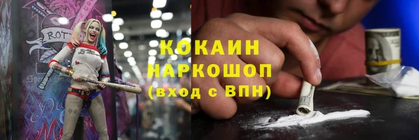 индика Алексеевка