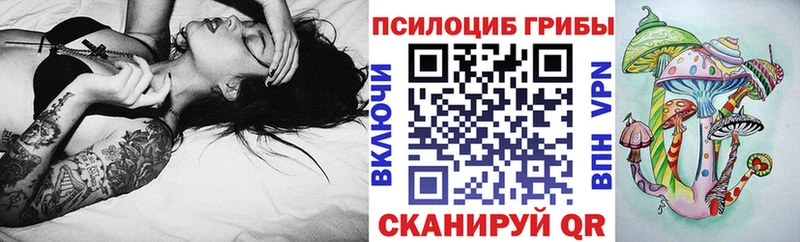 Псилоцибиновые грибы Cubensis  как найти   Нижняя Салда 